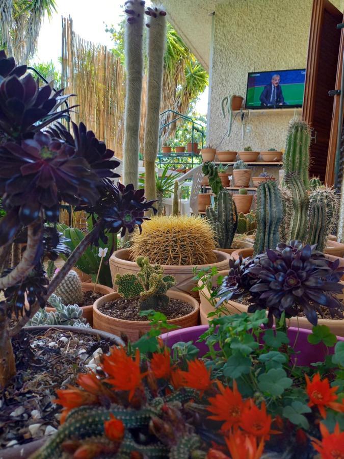 Casa Emilia Hotell Marano Principato Eksteriør bilde